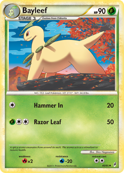 Bayleef 40