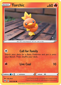 Torchic 22