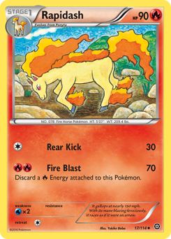 Rapidash 17